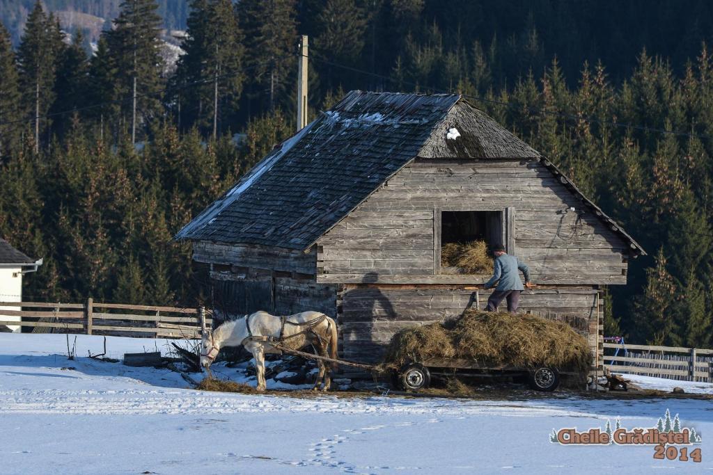 Cheile Gradistei Fundata Resort Екстер'єр фото